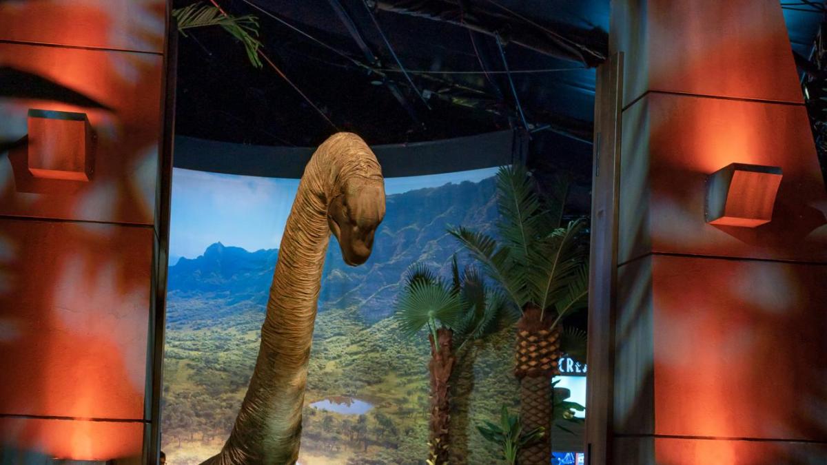 La vivencia se inaugura en Bogotá con tecnología de animatronics y una excursión interactiva.