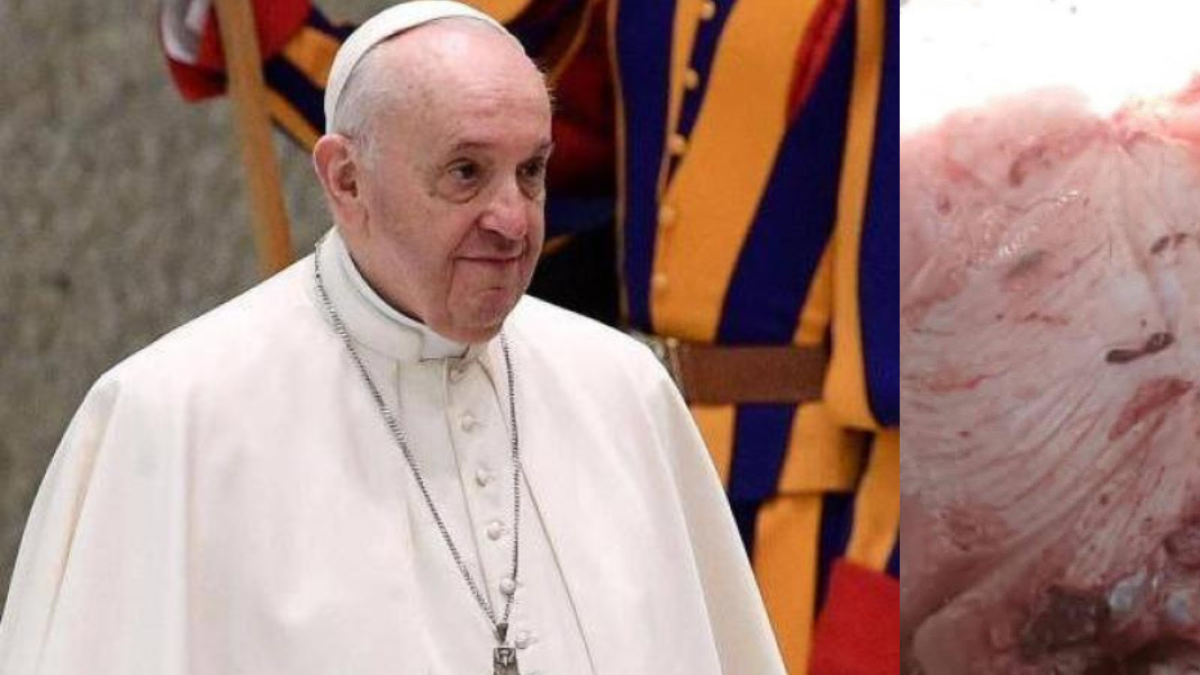 ¿Un milagro en Río San Jorge? La cara del Papa Francisco aparece en la piel de los peces en la ciudad de Colombia.