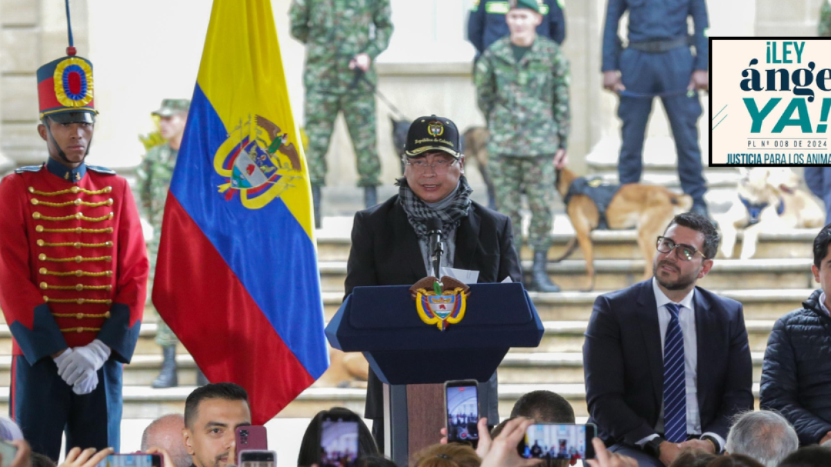 El presidente Gustavo Petro castigó la Ley de Animales y Lorenzo, ¿qué están buscando estas iniciativas?
