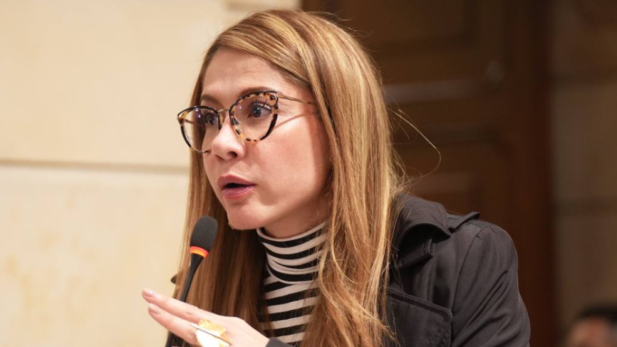 “Muchas de las preguntas ya están en la ley o se pueden hacer por directiva”: Catherine Juvinao