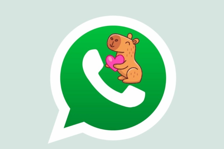 Estilo Capibara en WhatsApp: personalice su aplicación con una apariencia desenfadada –