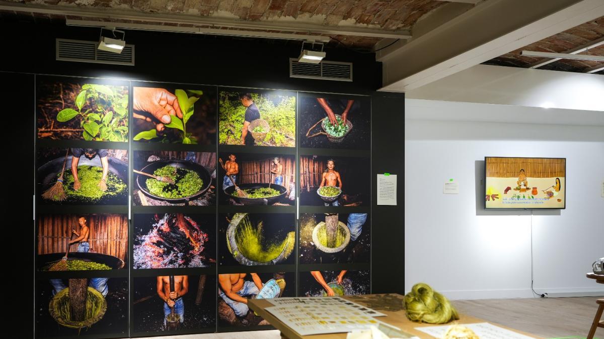 Un programa de diplomáticos culturales que el Ministerio de Relaciones Exteriores busca cambiar la retórica de Coca Leaf en el mundo