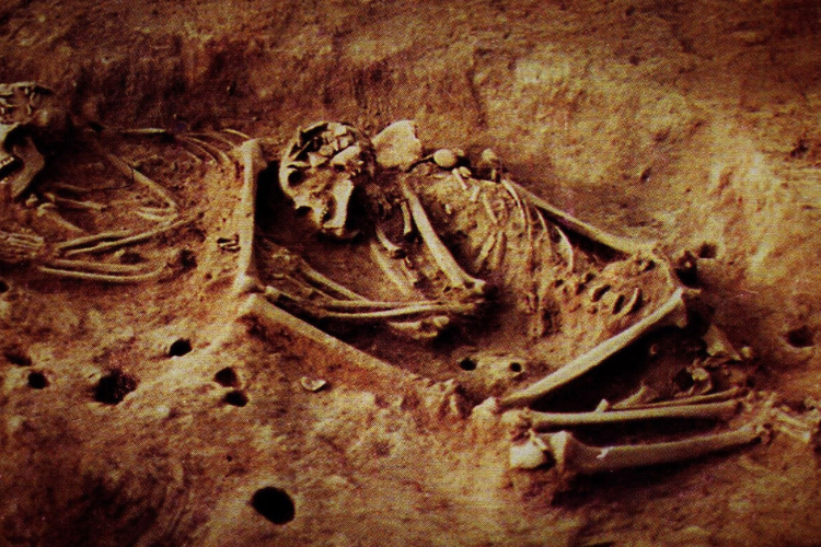 El viejo ADN en Bogotá revela descenso humano perdido hace 6,000 años y un reemplazo de población completo, 

 – En la mira