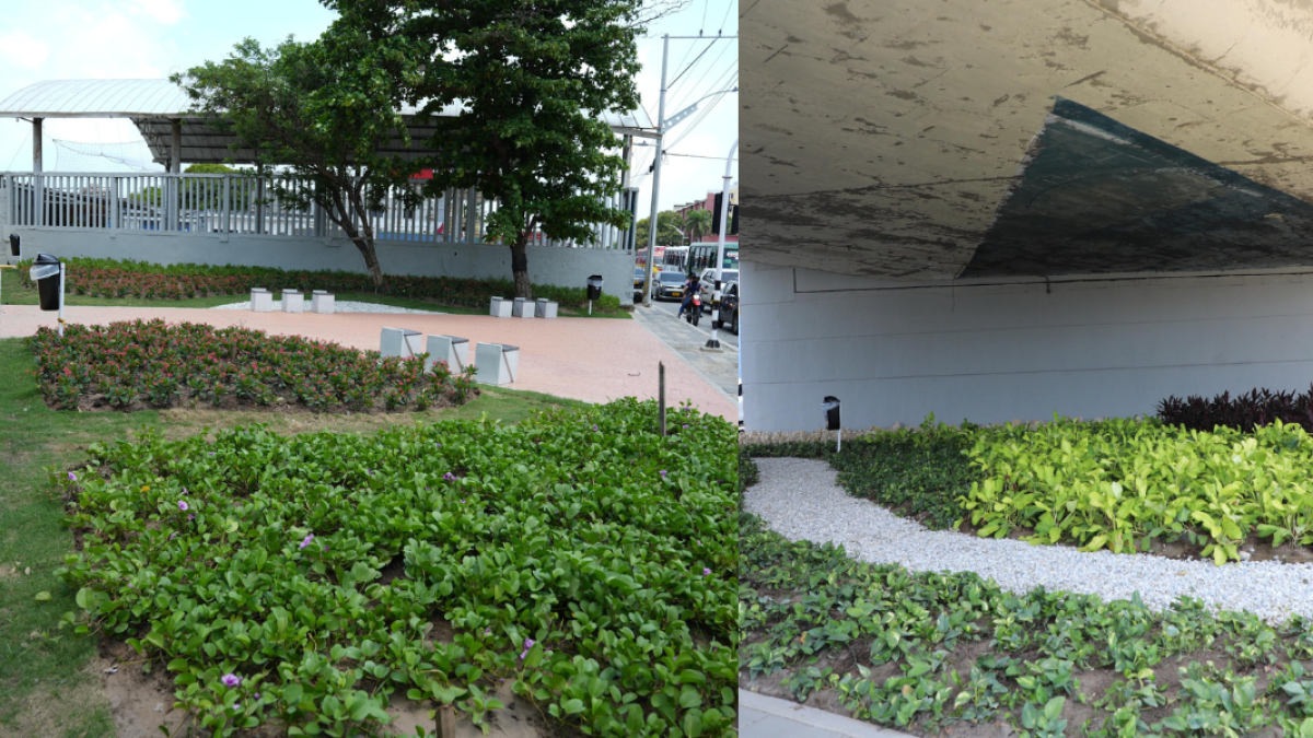 Descarga de basura y un lugar peligroso en verde y una reunión de Barranquilleros

 – En la mira