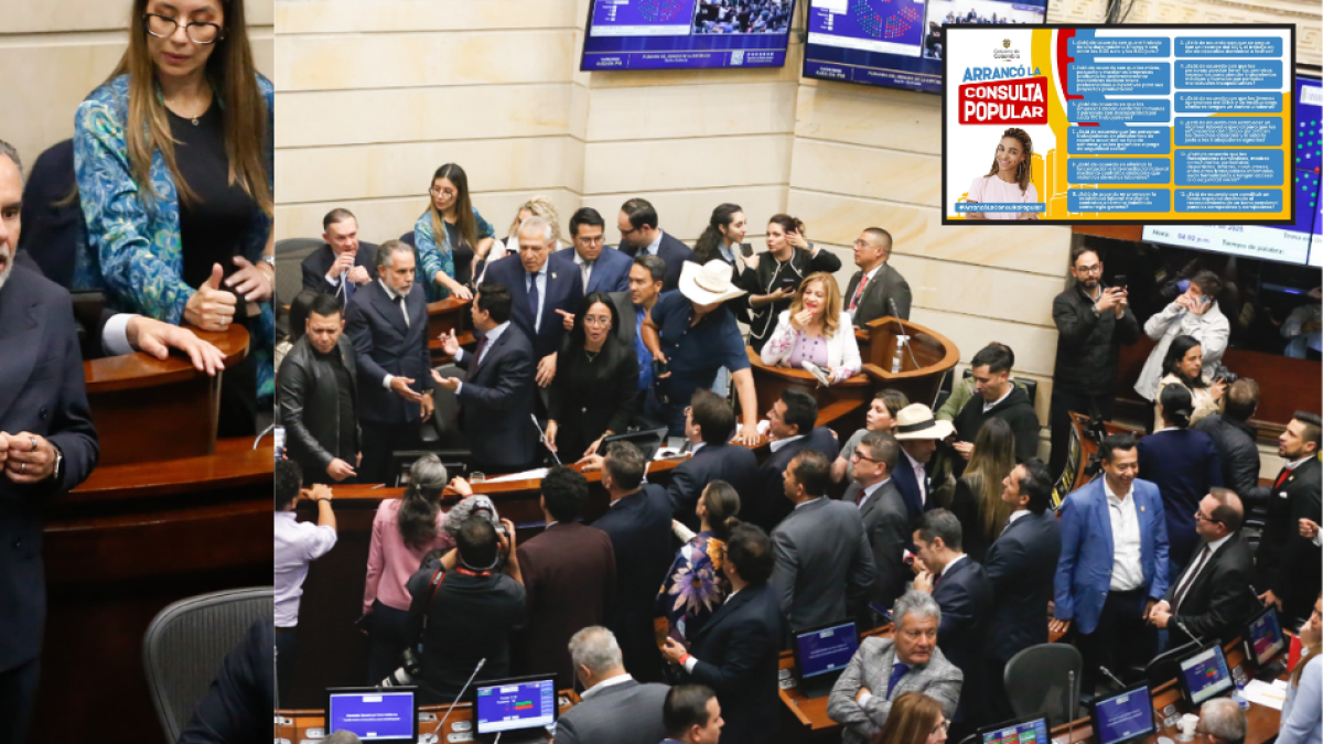 Entonces, el momento fue cuando el fallo preguntó a la votación de una consulta popular del Senado: ¿por qué?