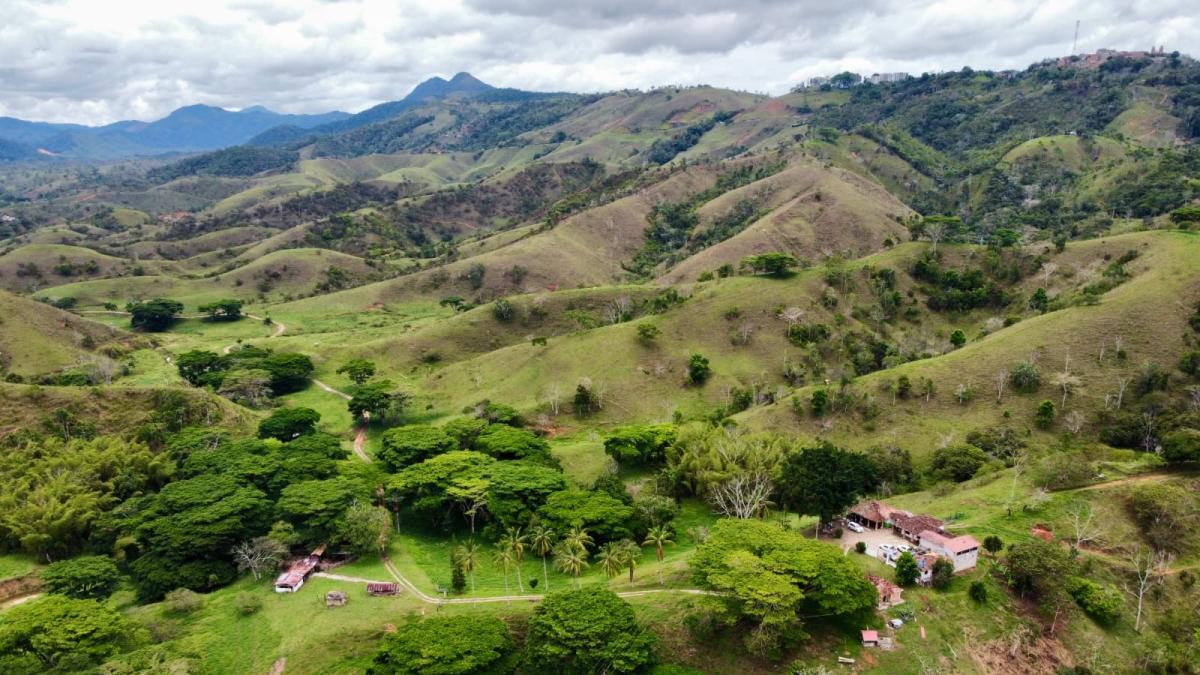 Ex -Communications ETCR Carrizal se transferirá a Yali, Antioquia, debido al riesgo de seguridad

 – En la mira