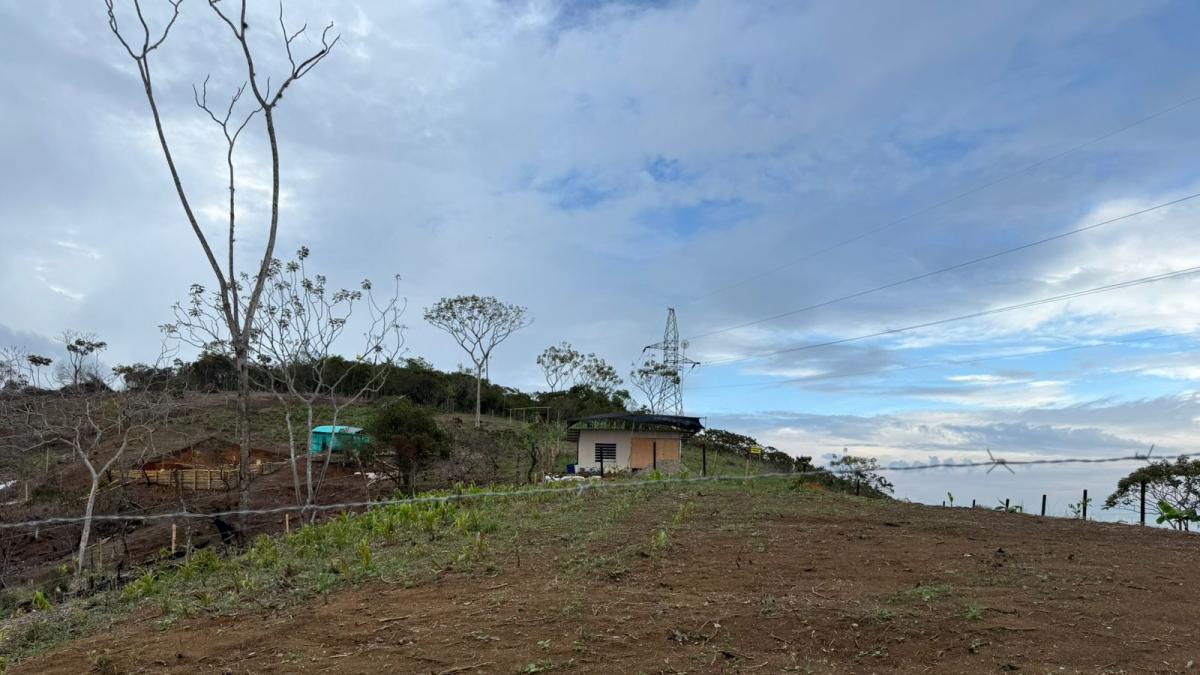La controvertida tierra de los comerciantes de drogas en Jamundí, donde los estafadores venden parcelas caras: ¿la mafia de la invasión?