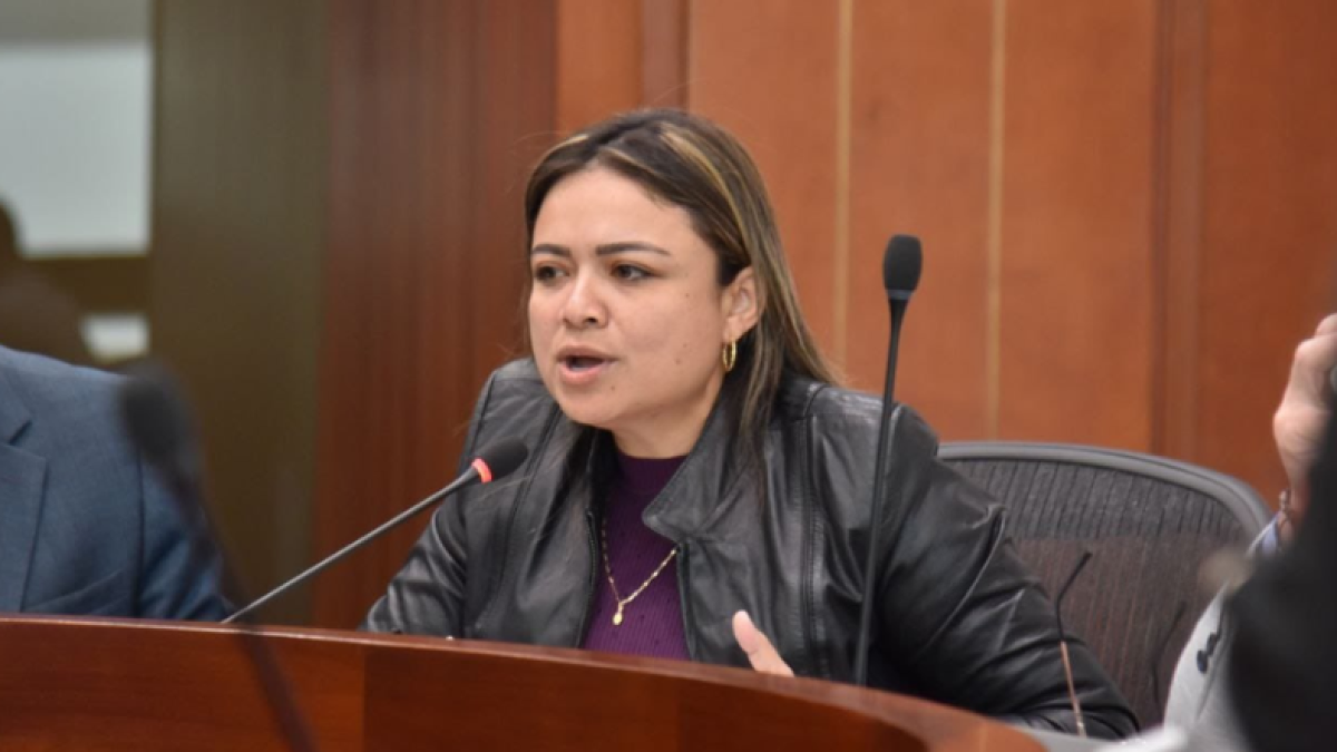 La copia crece a la vicepresidenta de la Cámara, Lina Garrid