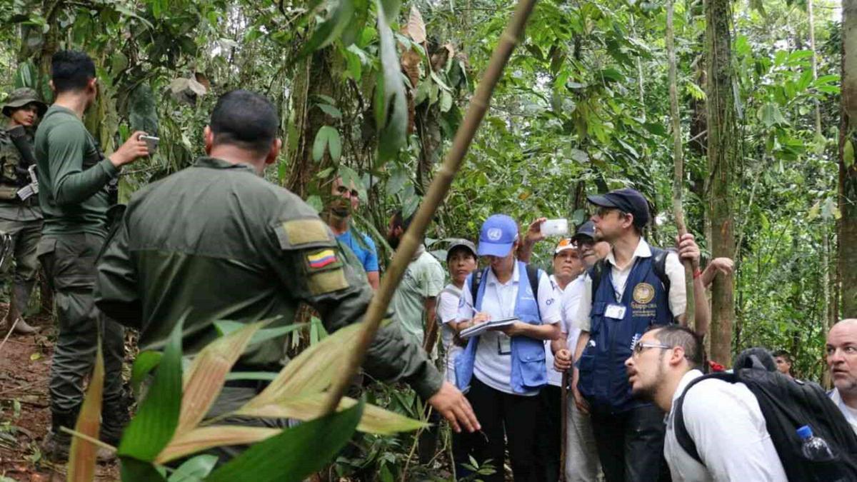 Liberaron ocho tropas, que fueron secuestradas en áreas rurales, Roberto Payán