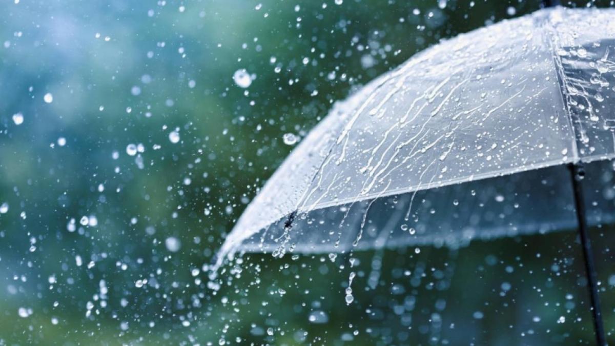 ¿Cuándo dejará de llover en Colombia? Actualizaciones de la idea de lluvia y pronóstico de emergencia

 – En la mira