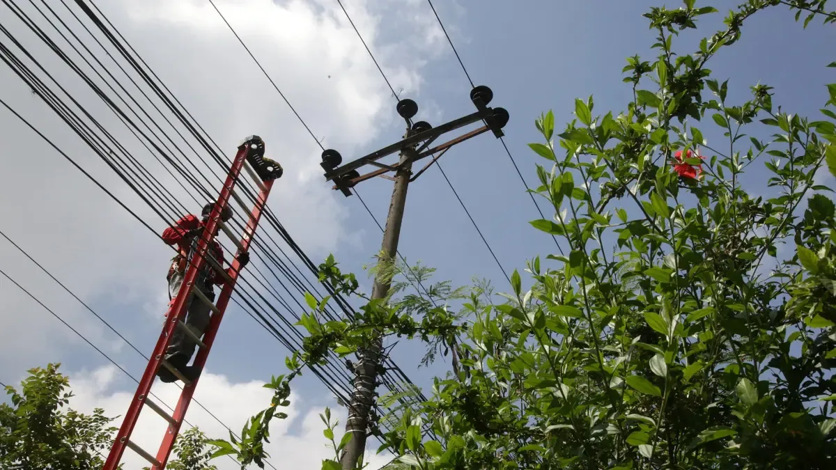 ¡Ojo! Cutki Energy en cinco distritos de todos el martes 24 de junio para el mantenimiento: lo que debe saber

 – En la mira