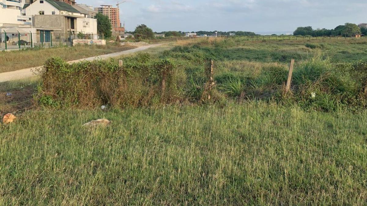 La Corte Suprema parece ser un fracaso histórico en caso de presunto robo de la Tierra en Aerocivil en Cartagena

 – En la mira