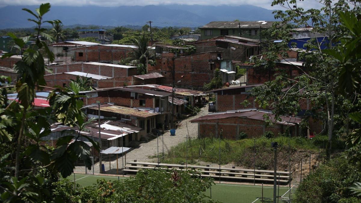 ¿Por qué los asesinatos siguen disparando en Buenaventure? La mayor parte del fin de semana tuvo lugar en las zonas rurales

 – En la mira