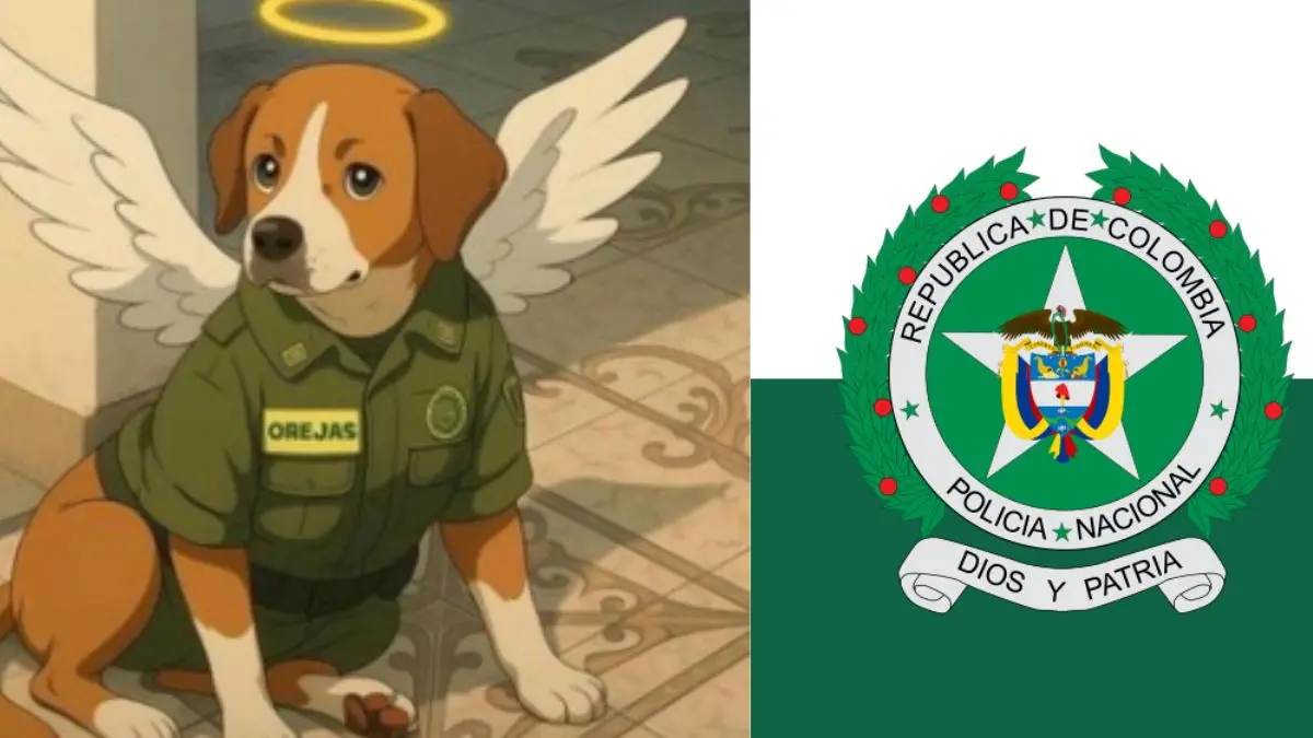 Había un “oído”, un cachorro que murió mientras acosaba en la estación de policía en Antioquia

 – En la mira