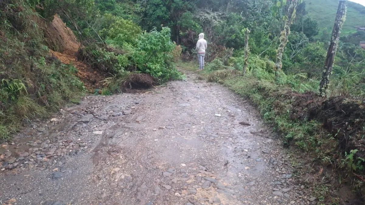 Declarar la urgencia del manifiesto con respecto al impacto en las rutas departamentales

 – En la mira
