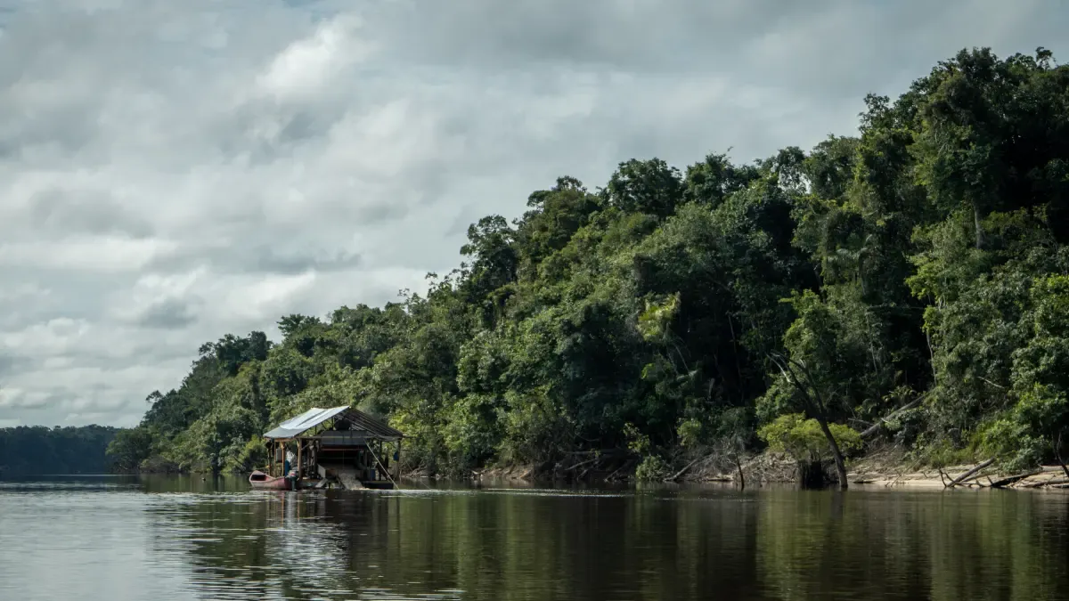 el veneno que contamina a comunidades y ríos en Guainía – En la mira
