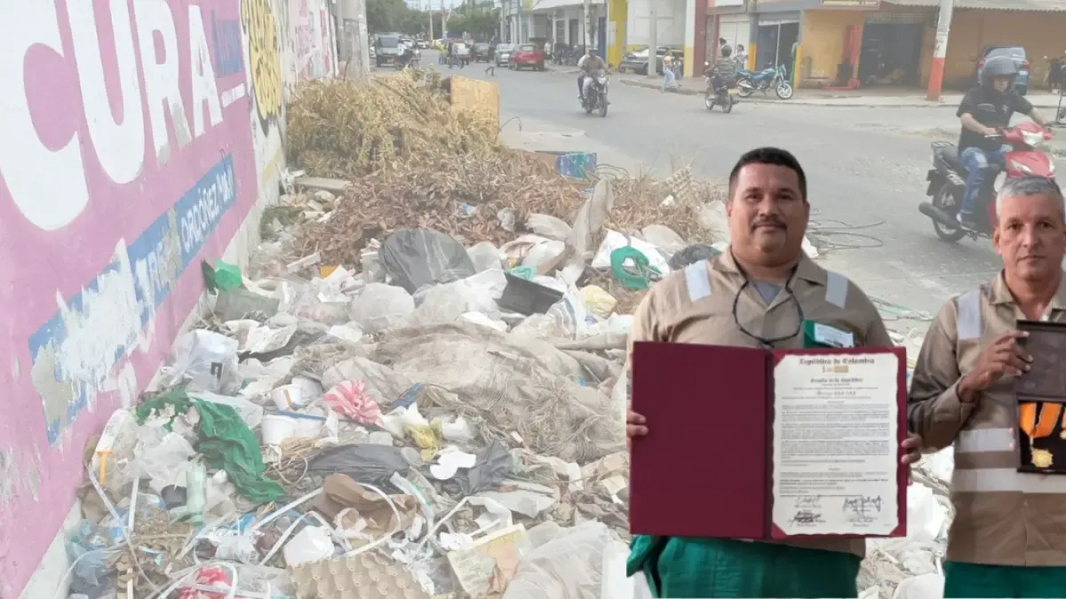 El Congreso otorga la compañía de limpieza de Santa Marta a pesar de las quejas del usuario: ¿Qué reacciona con los ates?

 – En la mira