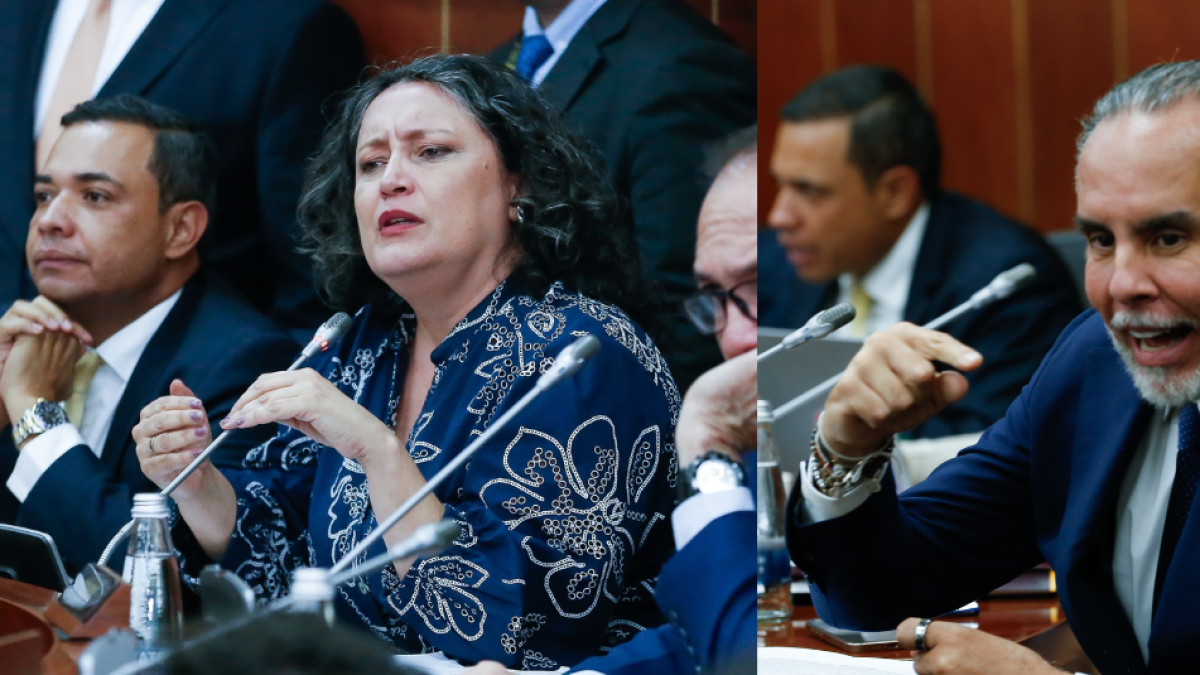 Angelica Lozano rechaza la propuesta de Benedetti de detener el consejo si la mejora laboral se lleva a cabo cuando proviene de la cámara

 – En la mira