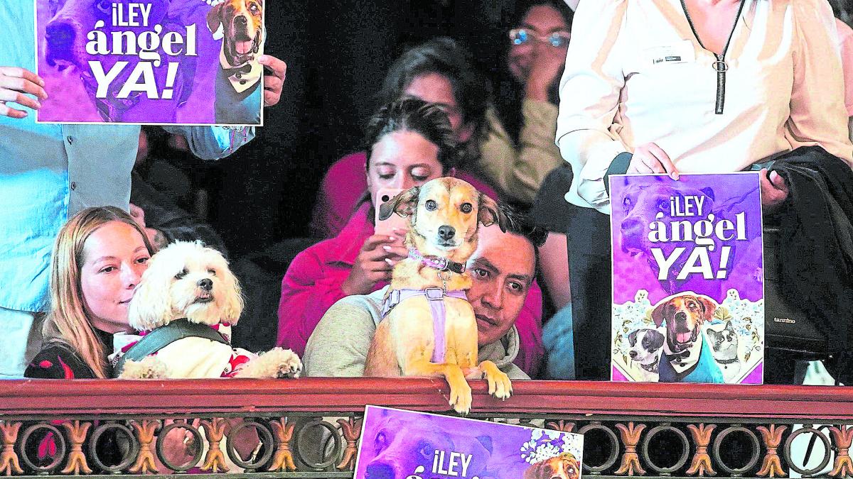 Colombia se dirige hacia los animales

 – En la mira