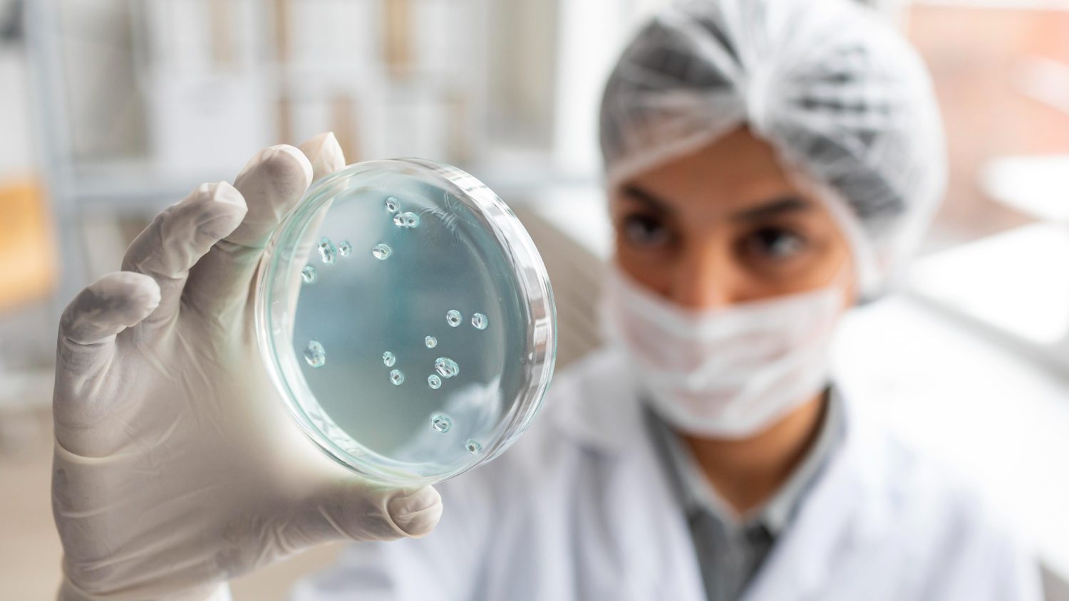 Día internacional de biotecnología: innovación, ciencia y sostenibilidad – 

 – En la mira