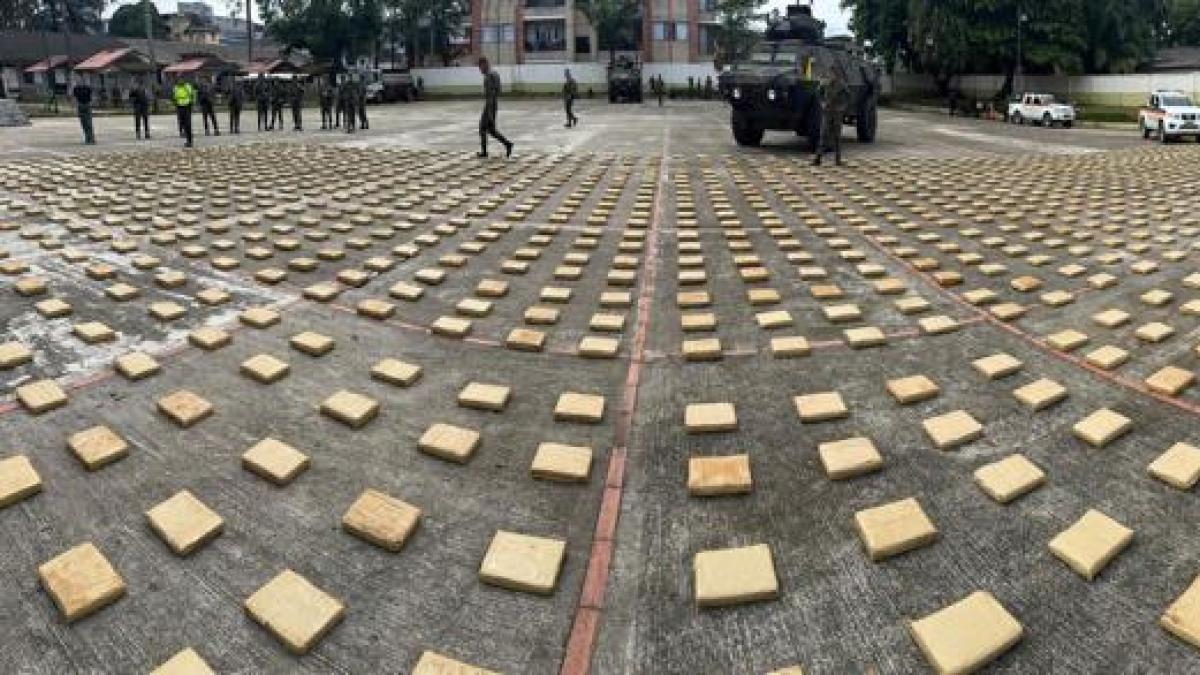 El conductor intentó sobornar 200 millones

 – En la mira