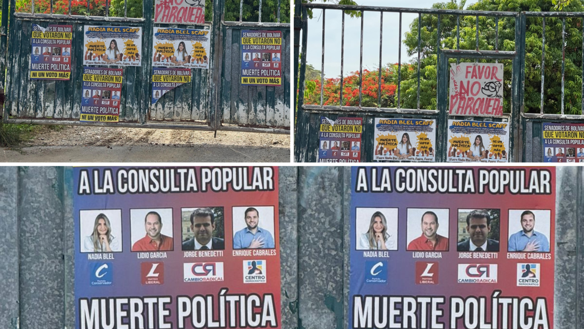 El mensaje de “muerte política” hacia los senadores que no votaron por consultas populares

 – En la mira