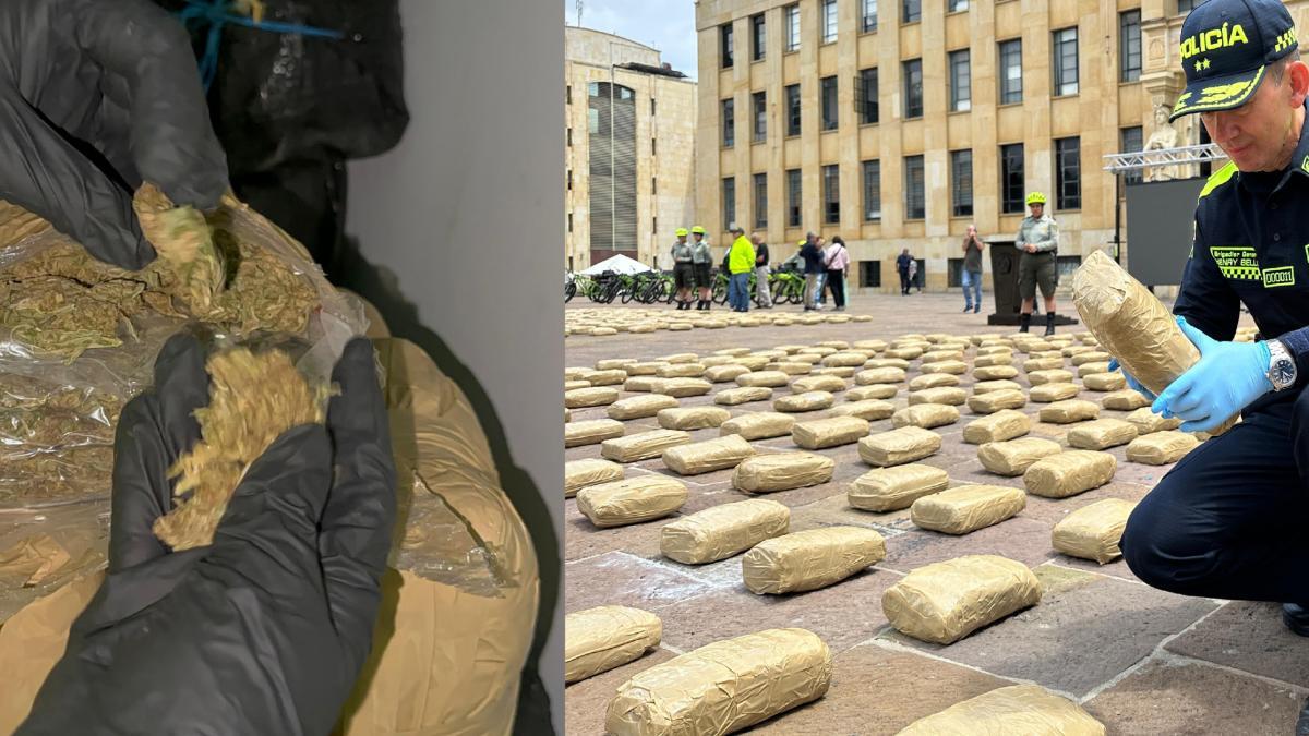 Entonces el segundo mayor cargo de drogas cayó en Bucaramanga

 – En la mira