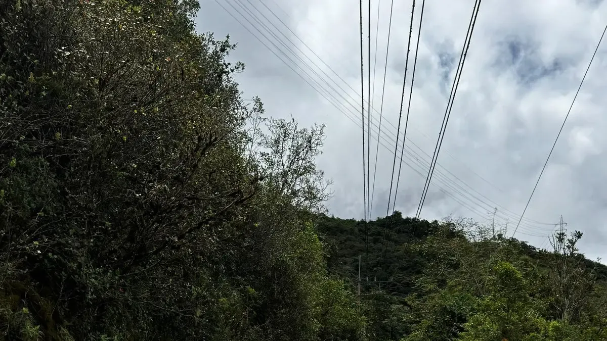 Estudiantes de buceo que se encuentran en el lago Calima, el cuerpo de un hombre informado como desaparecido, a partir de marzo

 – En la mira