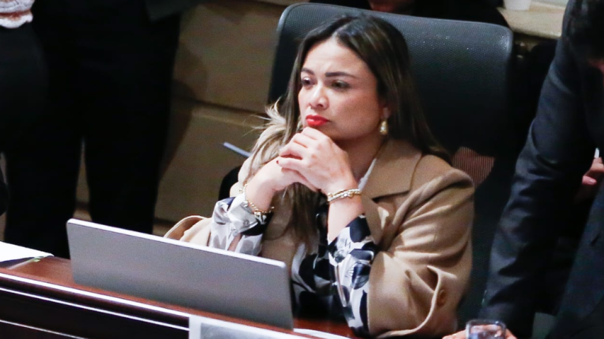 Lina Maria Garrido le pide al ministro que no firme el nombramiento para anunciar la consulta: “No se deje engañar”

 – En la mira