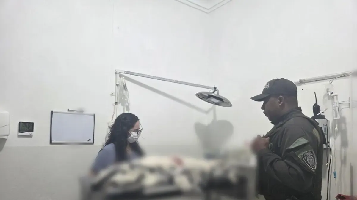 Mató al perro con un arma blanca

 – En la mira