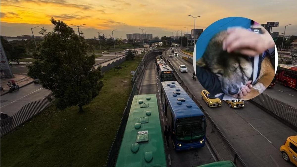 Transmilicne condena a la calle dejando el autobús SITP y su posterior abandono

 – En la mira