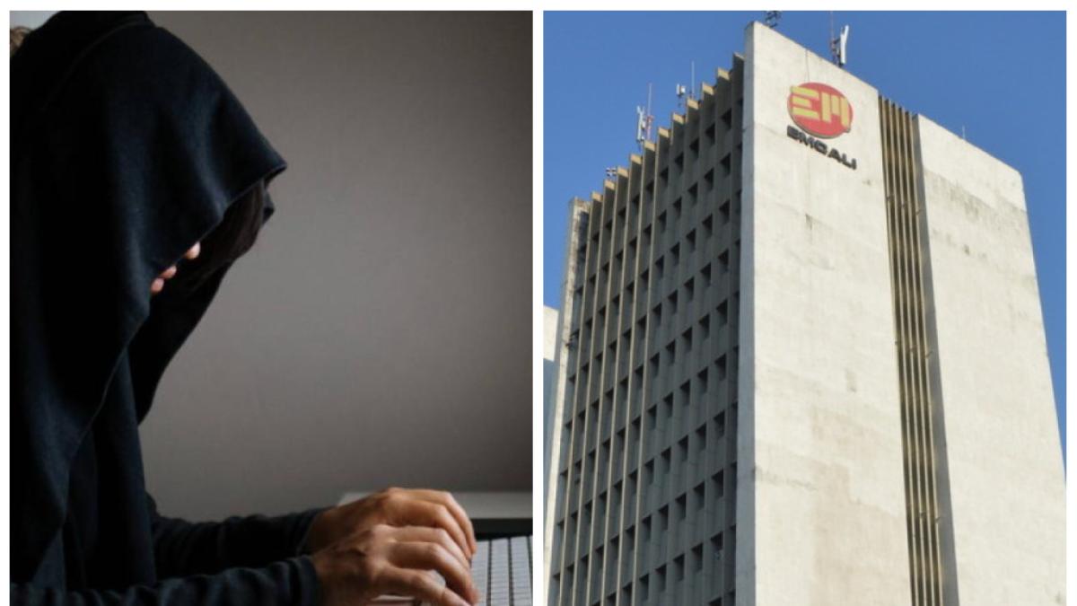 Usuarios de Calados y Emcali, un ojo con un portal falso para los pagos de los servicios públicos; Hay ladrones en Internet

 – En la mira