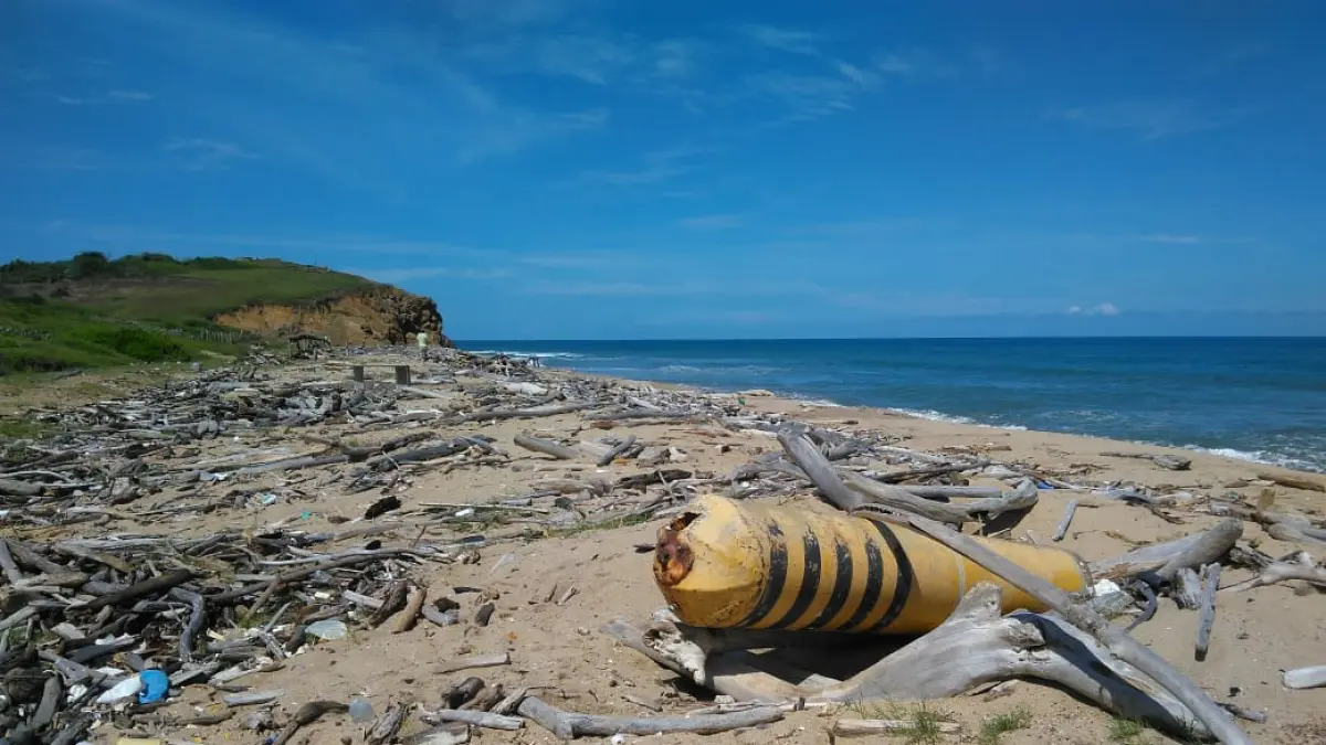 Odkrywają, że drewno dryfowe może być kluczem do pomiaru zanieczyszczenia plastikowego na plażach Karaibów
 – En la mira