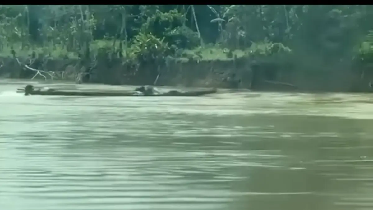 Las fuerzas navales frustraban un explosivo ataque en bote en el río Guaviare: no se registran víctimas

 – En la mira