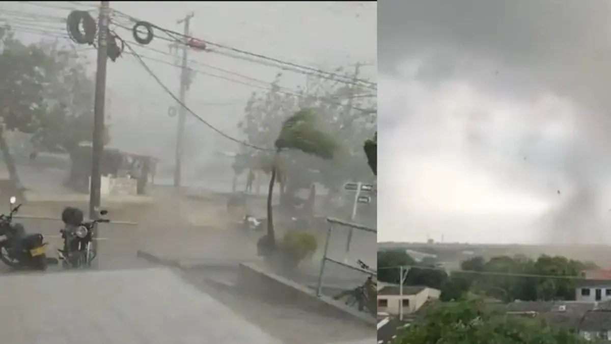 Una tormenta destructiva es causada por una emergencia en la comuna de la soldadada: casas de drenaje, árboles caídos y cortes de energía

 – En la mira