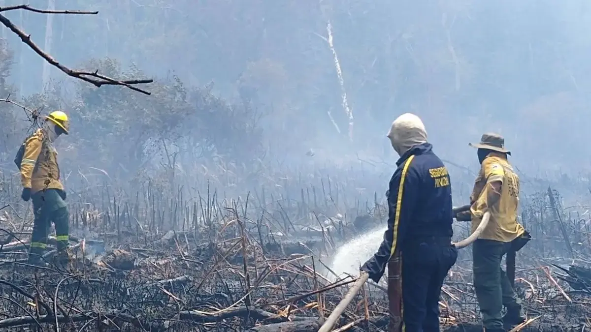 Salamanca Island, una reserva natural que ya ha perdido más de 1130 hectáreas debido a un incendio

 – En la mira