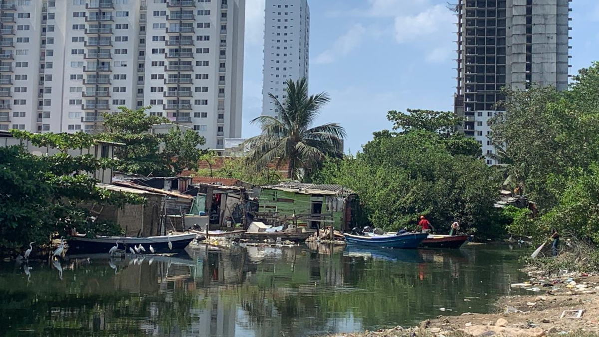 En octubre, Cartagena comienza a la política pública para legalizar más de 200 asentamientos y detener la invasión de la Tierra y Powerzyna

 – En la mira