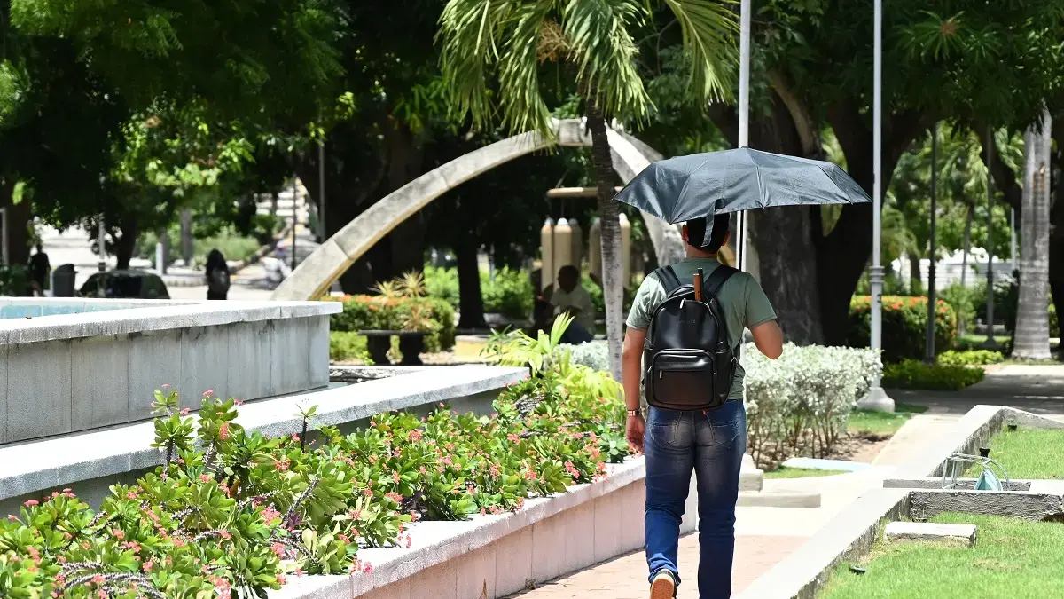 Con drones, suministros de árboles y mediciones térmicas, en Barranquilla diseña la aplicación para caminar en rutas sombreadas durante la ola de calor

 – En la mira