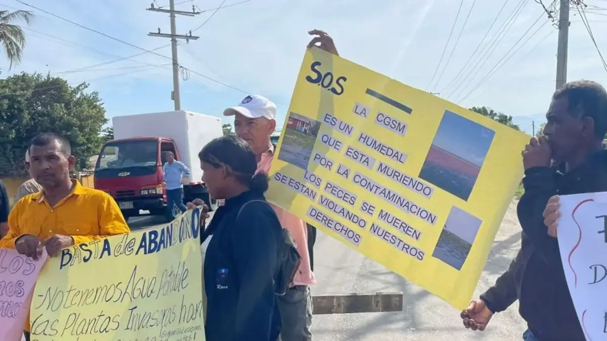 Nueva Venecia, atrapada entre agua y malas hierbas: gente de palago que podrían desaparecer

 – En la mira