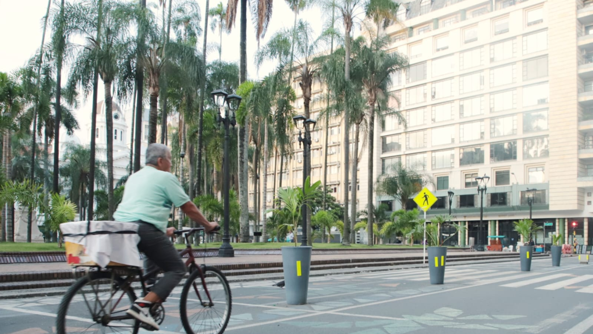 Un día sin automóvil y sin motocicletas en todo

 – En la mira