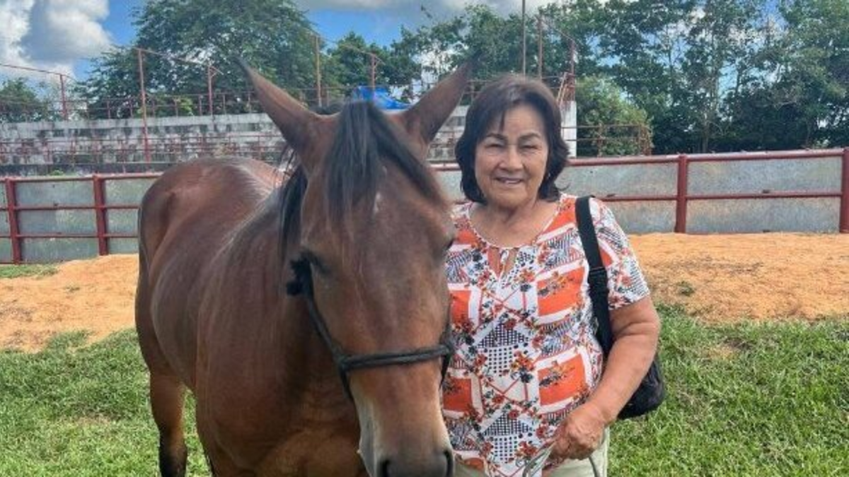 Ingresan en la granja de poros (Casanare) y secuestran a Maria Cenobia tibabuiza, madre del ex alcalde de Cristina Guarnizo; Su esposo ya ha sido plagio

 – En la mira
