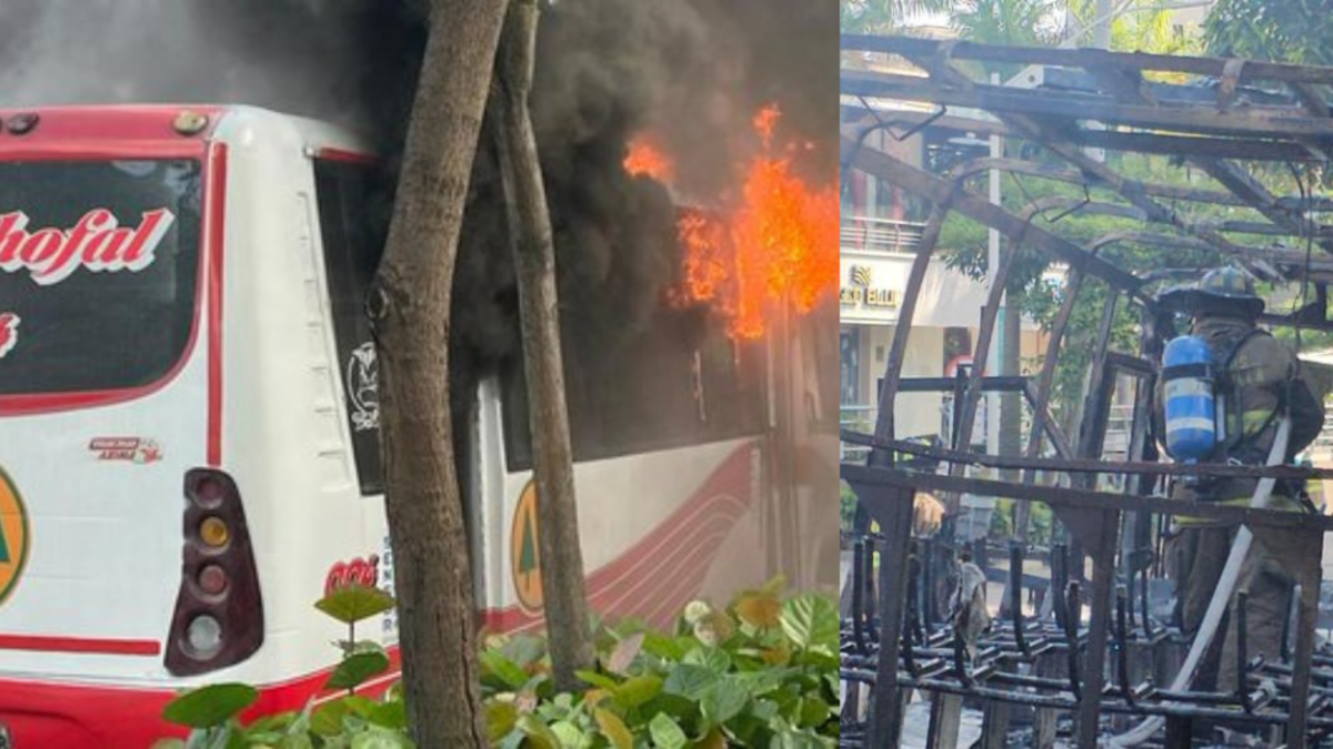 Coocchofal Bus fue completamente quemado en una carretera pública completa

 – En la mira