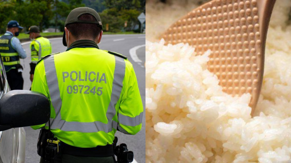 Los funcionarios han anunciado fondos clave para proteger los mercados agrícolas nacionales

 – En la mira