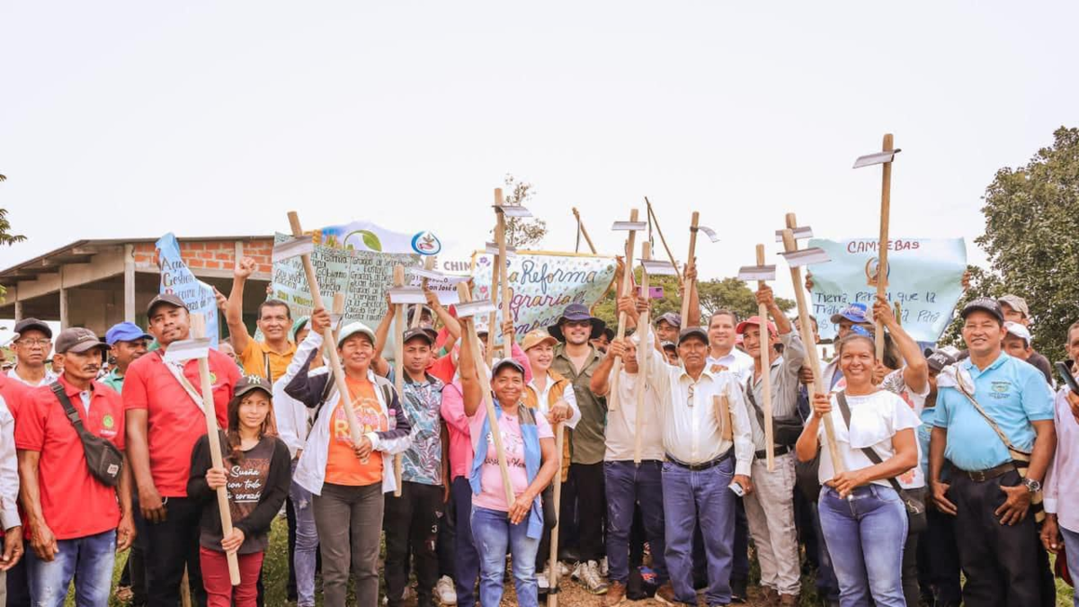 El Tribunal Constitucional confesó la alta solicitud de las hormigas contra la “fragmentación” de la reforma agraria

 – En la mira