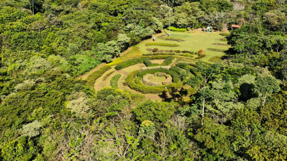 Pance abre la puerta del ecoparque de la diversidad biológica COP16

 – En la mira