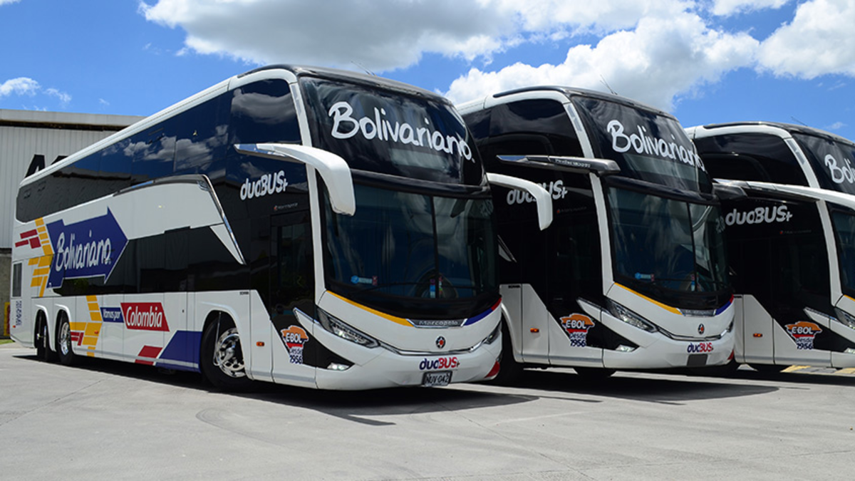 20% de descuento durante la semana de viaje

 – En la mira