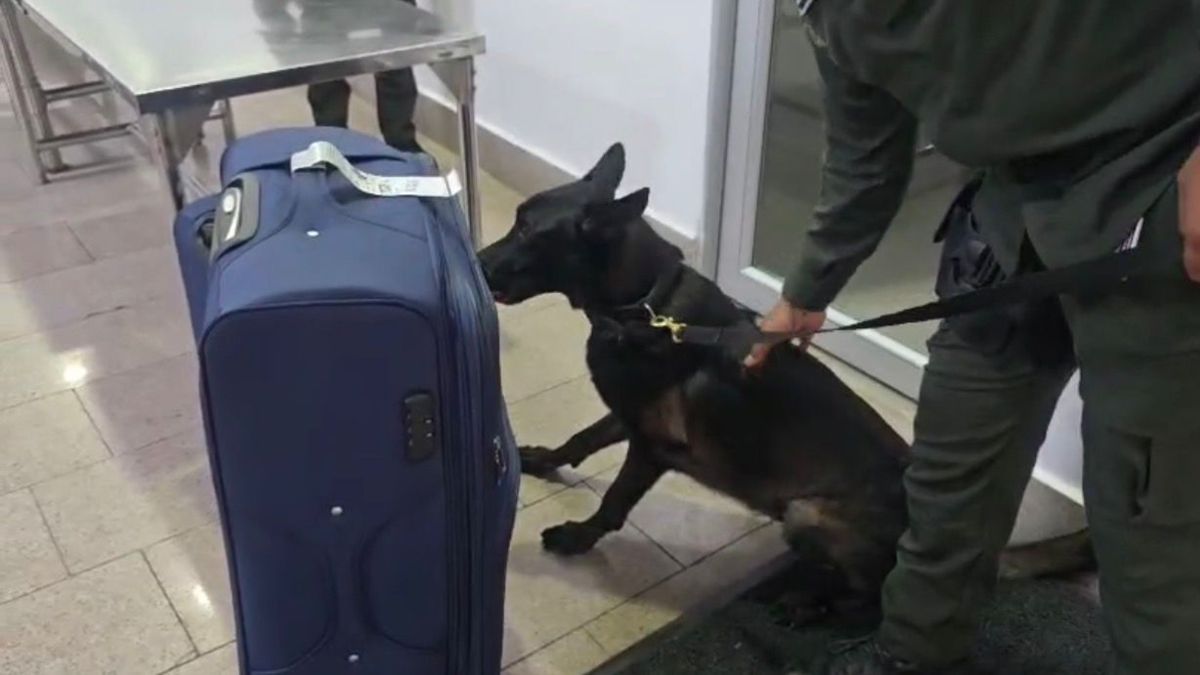 “Mule” cae en el aeropuerto de Cartagena con seis kilos de cocaína escondida en una maleta hacia Europa

 – En la mira