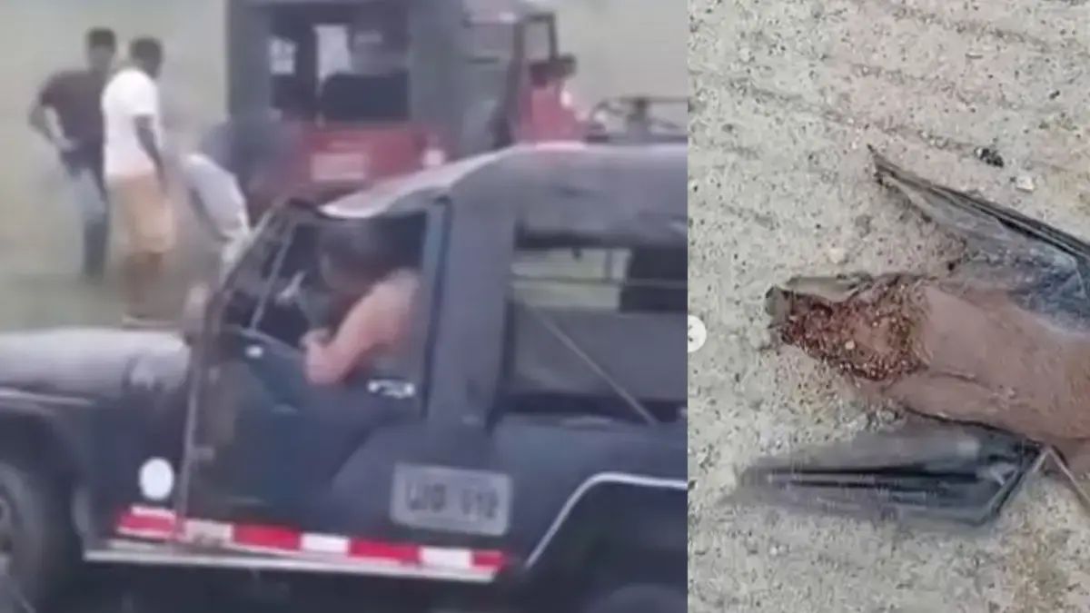 El murciélago entraría en la cabaña de Willys, que giró durante el transporte de 21 estudiantes

 – En la mira