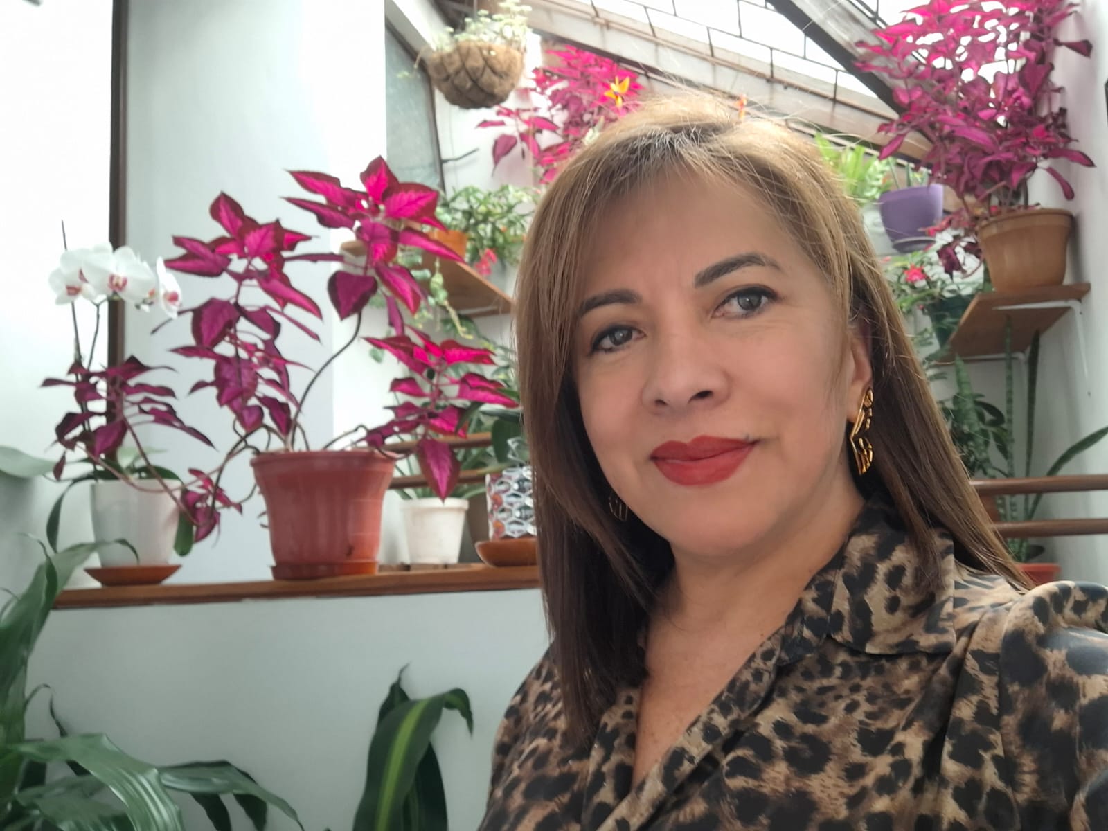 Crear plataforma de seguimiento de Nariñesses – 

 – En la mira