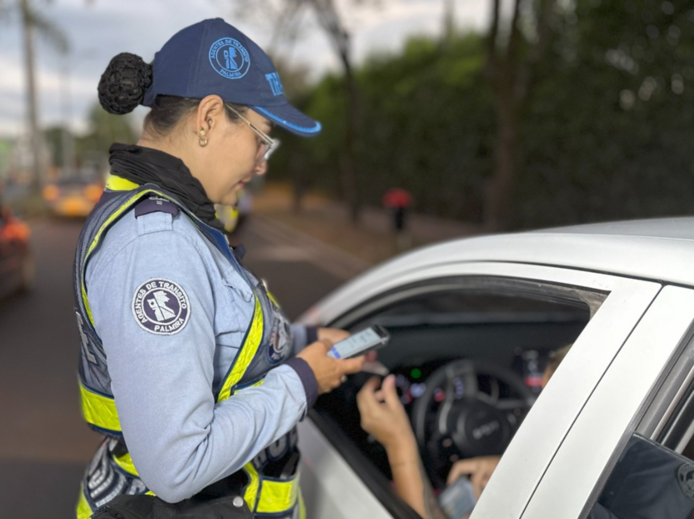 En Palmira somos pasajeros ejemplares: el servicio de taxi es público y seguro. ¡No al transporte ilegal! – 

 – En la mira